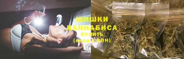 шишки Богородицк