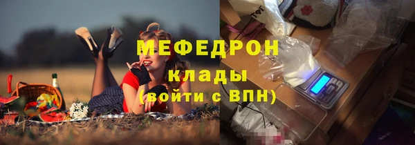 шишки Богородицк