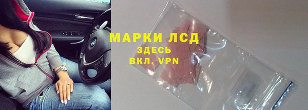 спиды Богданович