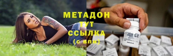 спиды Богданович