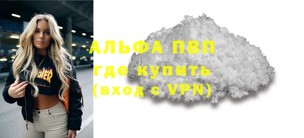 спиды Богданович