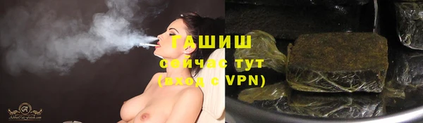 шишки Богородицк