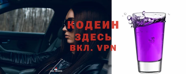спиды Богданович