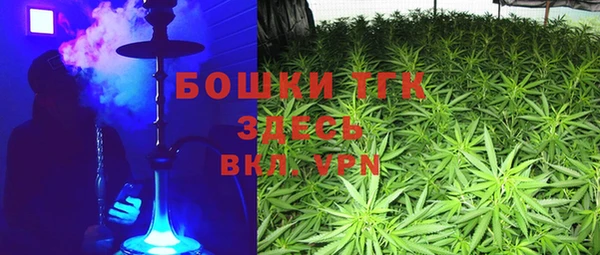 спиды Богданович