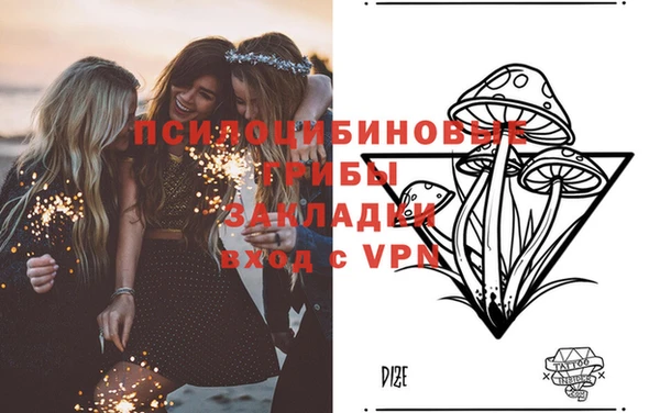шишки Богородицк