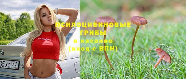 твердый Белокуриха