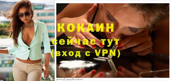 шишки Богородицк