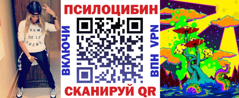 как найти Альметьевск Псилоцибиновые грибы GOLDEN TEACHER